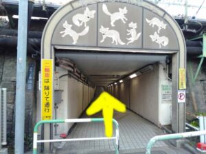 狐のトンネル